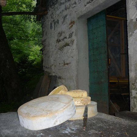 Da Erminia Bed & Breakfast Verdabbio ภายนอก รูปภาพ