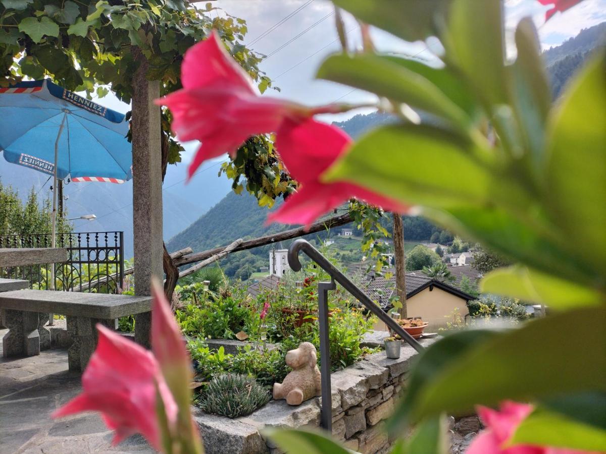 Da Erminia Bed & Breakfast Verdabbio ภายนอก รูปภาพ