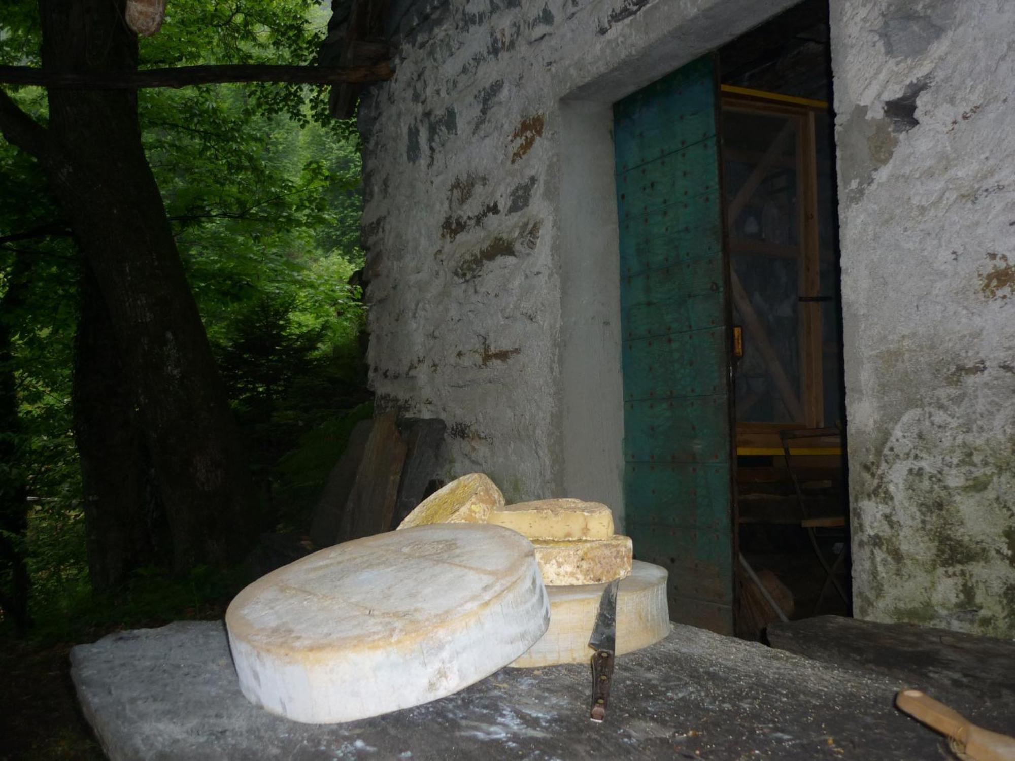 Da Erminia Bed & Breakfast Verdabbio ภายนอก รูปภาพ