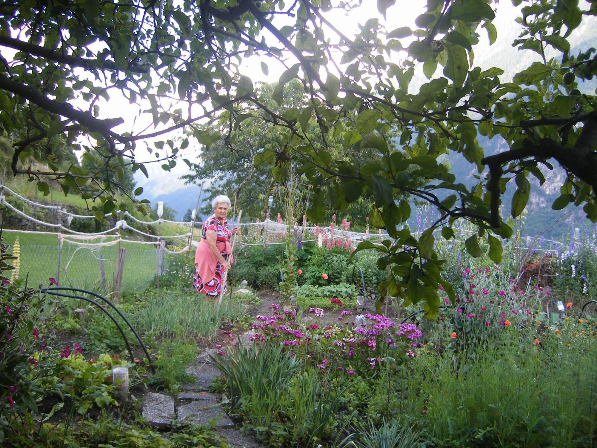 Da Erminia Bed & Breakfast Verdabbio ภายนอก รูปภาพ